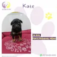 Kate
