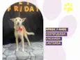 Princesa