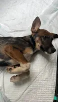 Princesa
