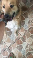Lunna