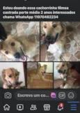 Lunna