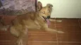 Lunna