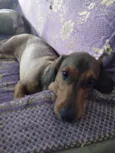 Jack