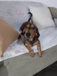 Jack