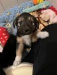Benny 