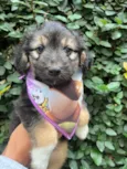Benny 