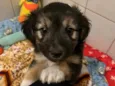 Benny 