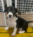 Sebastian 