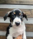 Sebastian 