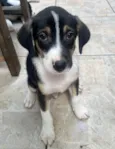 Sérgio 