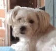 Noa 