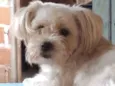 Noa 