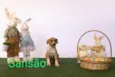 Sansão