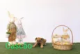 Cascão