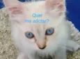 Lupita