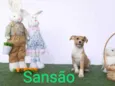 Sansão