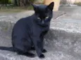 Bartho