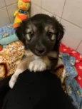 Benny