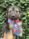 Benny