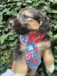 Benny