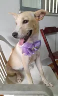 Clarinha
