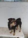 Eu não sei