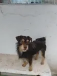 Eu não sei