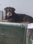 Eu não sei