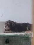 Eu não sei