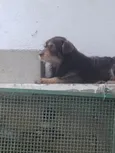 Eu não sei