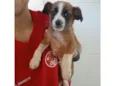 Sem nome 
