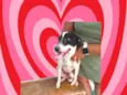 Snoopy 10meses