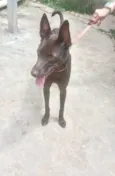 Mel 7meses porte Pequeno
