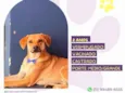 Duque2