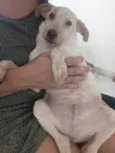 Paçoca