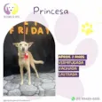 Princesa