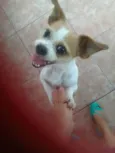 Branquinha