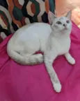 JOLIE
