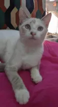 JOLIE