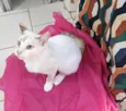 JOLIE