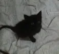 Bbzinhos abandonados