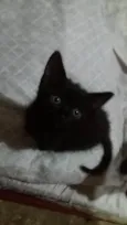 Bbzinhos abandonados