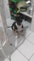 Zé