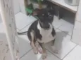 Zé