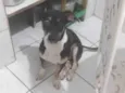 Zé