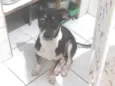 Zé