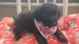 Lupita