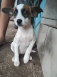 Princesa
