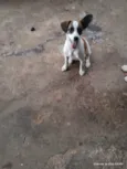 Princesa