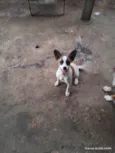Princesa